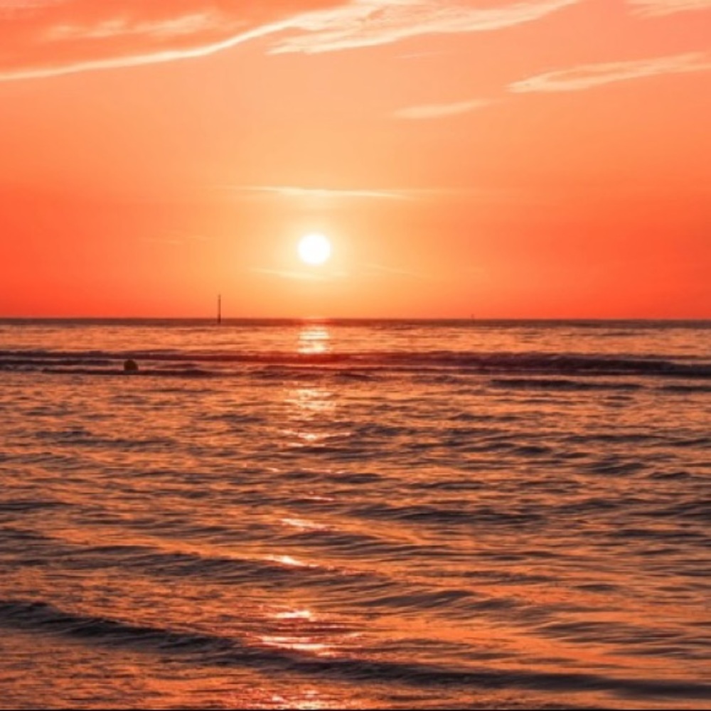 Meet your Posher, Starrlen